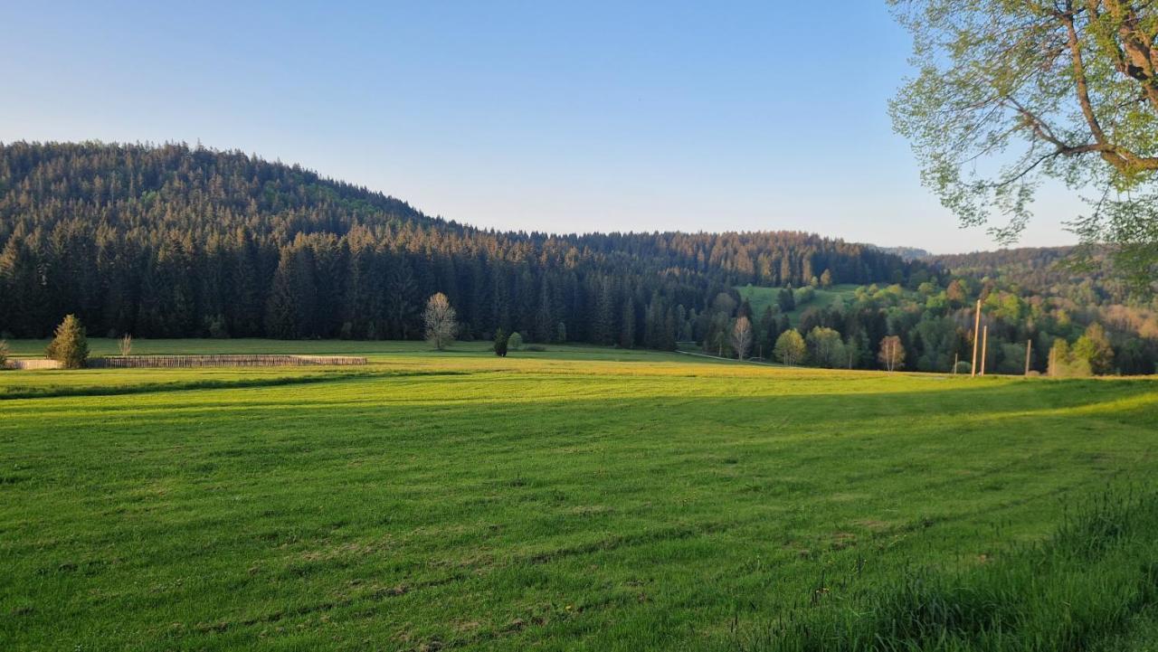 Two Apartaments Almberg - Mitterdorf-Mitterfirmiansreut Exterior foto
