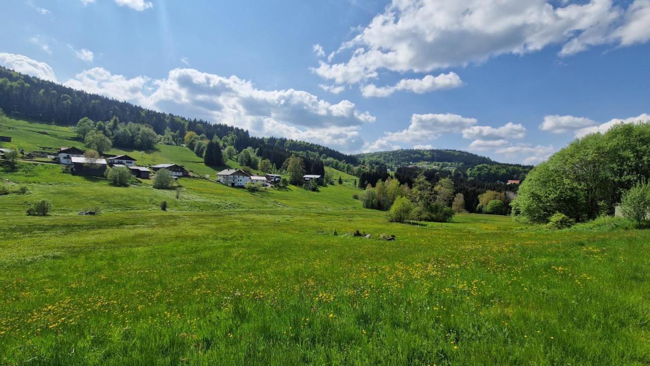 Two Apartaments Almberg - Mitterdorf-Mitterfirmiansreut Exterior foto